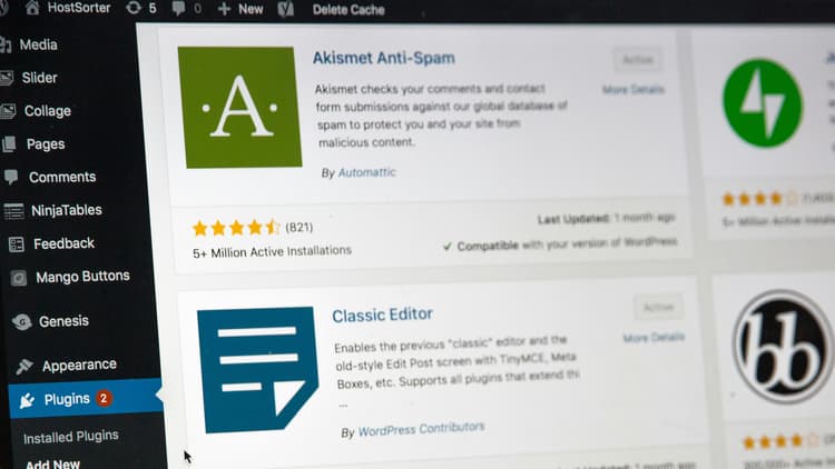 WordPress Training: Beginner